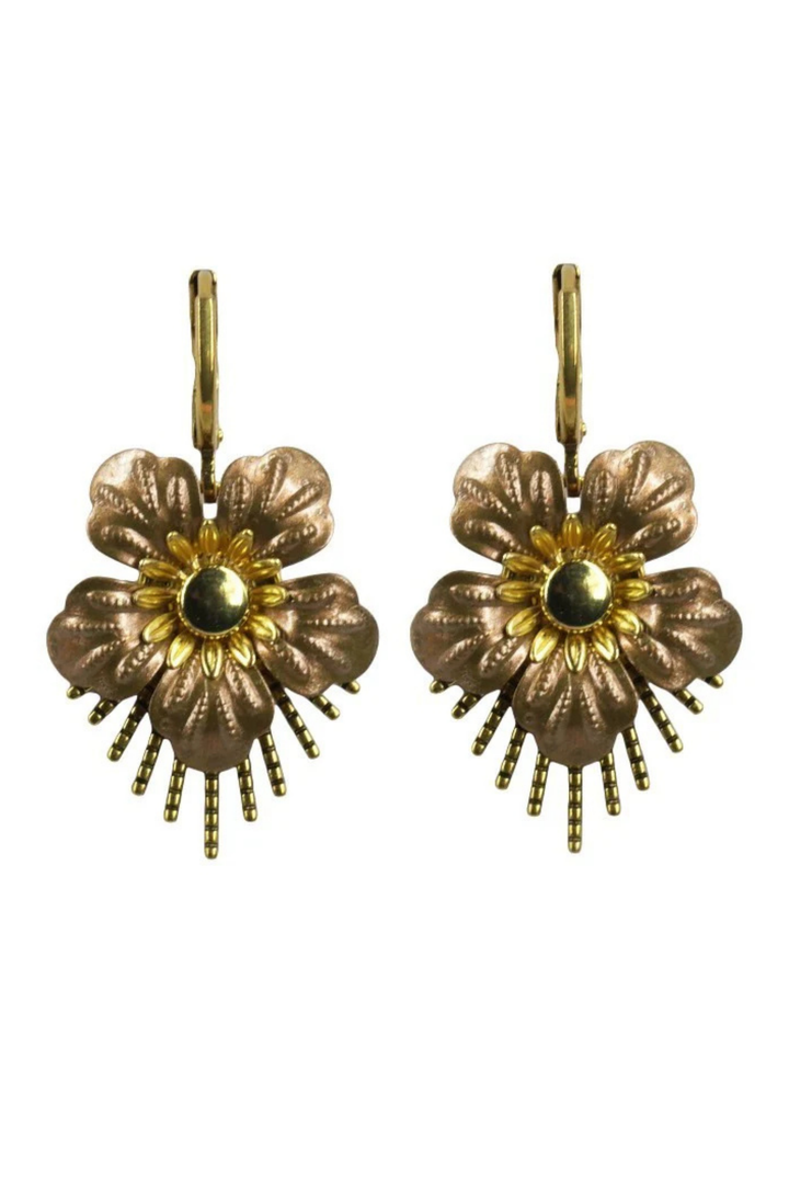 Raio øredobber gull