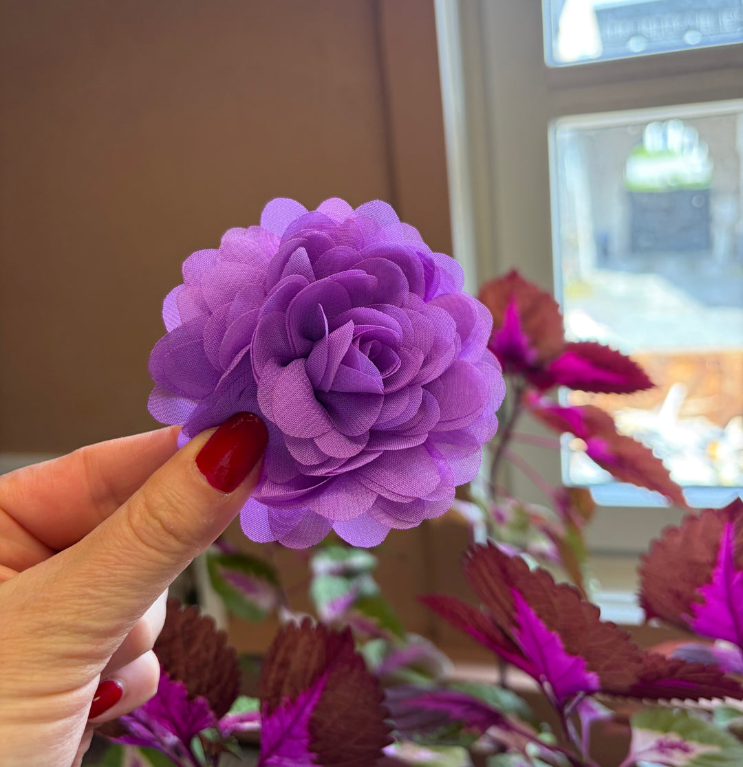Hårblomst Lilla