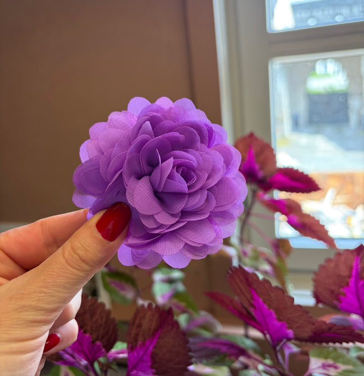 Hårblomst Lilla